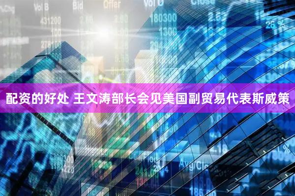 配资的好处 王文涛部长会见美国副贸易代表斯威策